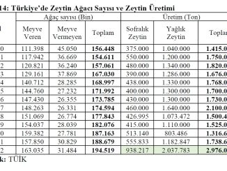 Turkiyedeki-zeytinagaci-sayis